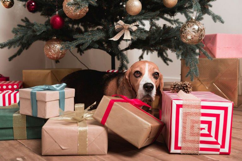 Tis the Season to be careful and Locksmith at Christmas